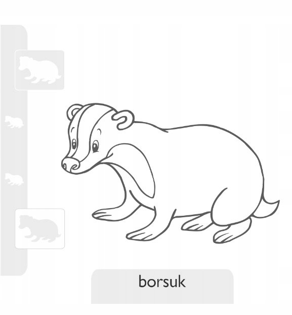 Borsuk kolorowanki